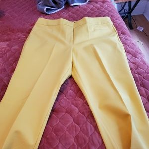 Brand new Ann Taylor pants